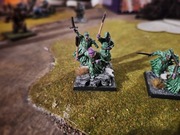 WFB Warhammer 3 modele Wampire Counts Ghost Swarn