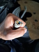 Przewód miedziany YDY 5x6 mm 2 cu 16 m DRUT 