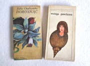 Zestaw Z. Chądzyńska Dorosnąć Wstęga pawilonu PRL stara retro 1987. 1978