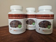 MycoMedica Coriolus 40% polisacharydów