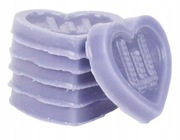 Home Wax Moods Wosk zapachowy do kominków zapachowych 6 sztuk COZY 65g