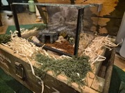 Terrarium z wystrojem 30x20x20 