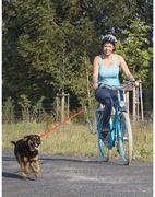 SMYCZ UCHWYT DO ROWERU DLA PSA Z WYSIĘGNIKIEM