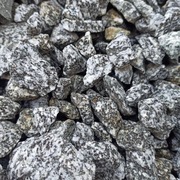 Grys Granitowy Dalmatian Kamień ozdobny ogrodowy Kora Marianna Chrzanów