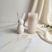 FORMA SILIKONOWA  do odlewów gipsowych, żywicznych, 