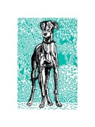 Piękna grafika na płótnie. Do ramki: 30x40cm