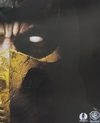 Mortal Kombat X PL PS4 PS5 jak nowa 
