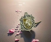 Broszka Harry Potter Hufflepuff