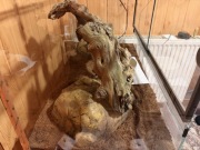 Terrarium 80x40x40 Pyton Królewski