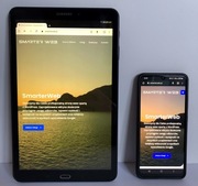 Strony internetowe, pozycjonowanie