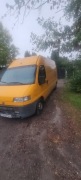 Fiaty ducato 2,3 diesel biały,2,5 diesel zolty