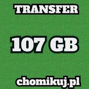 TRANSFER CHOMIKUJ 107 GB BEZTERMINOWO