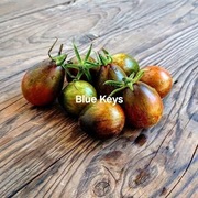 Pomidor Blue Keys.  Słodki.  Piękna odmiana