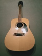 GITARA AKUSTYCZNA EPIPHONE DR-212NA