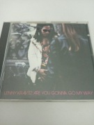 Lenny Kravitz.             
