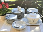 Zestaw obiadowy 43 el na 12 osób 