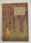 Przygoda Misia - Ewa Szelburg - Zarembina