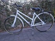 Rower damski miejski Odler Motana