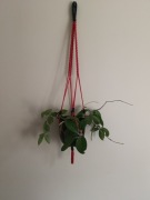 Kwietnik wiszący bawełniany z dodatkiem czarnego koloru