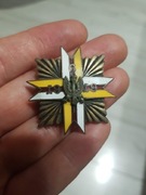 17 pułk ułanów Wielkopolska 