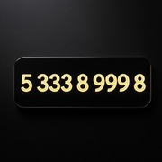 5_333_8_999_8 - Złoty numer - Platynowy numer - 533_389_998