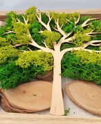 Obraz mech chrobotek  Dzień Matki hand made rękodzieło