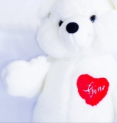Miś maskotka biały pluszowy z sercem z imieniem Regina Georgina Gina artyst