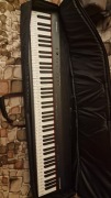 ROLAND GO PIANO 88 Pianino cyfrowe do nauki Statyw i gadżety