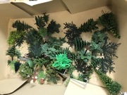 Modele drzew las drzewo choinka