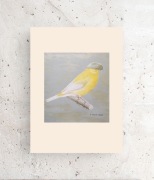 kanarek plakat A4, vintage plakat 21x30, ptaszek plakat a4