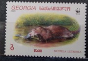 Fauna zwierzęta ssak wydra WWF Georgia