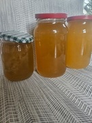 Zbiór 8 czerwca! Świeży Miód Wielokwiatowy / Rzepakowy z Żuław