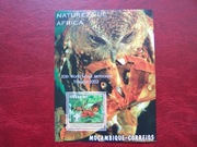 Mozambik MNH Fauna Ptaki Motyle
