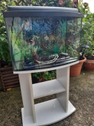 AKWARIUM Z OSPRZĘTEM 60L