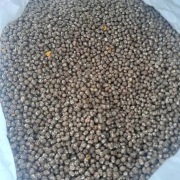 Łubin gorzki Caro Czyszczony