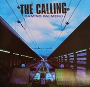 Calling Camino palmero  (5)
