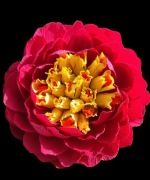 Prezent, słodki bukiet. Komunia.Urodziny