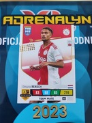 Panini 365 2023 RENSCH NR 353