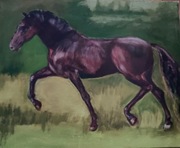 Obraz akrylowy " Koń" 