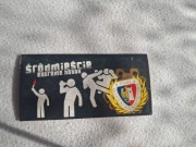 Vlepki Piast Gliwice Śródmieście