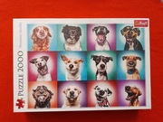 Nowe puzzle psy, pieski 2000 elementów