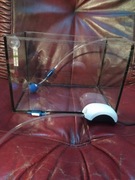 Nano akwarium / krewetkarium zestaw z napowietrzaczem