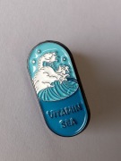 Metalowa przypinka pin broszka wpinka