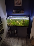 Akwarium 160 litrów 