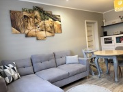 Przestronne, 3-pokojowe mieszkanie przy Wojciecha 11 | AGD, RTV w cenie!