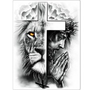 5D DIY Haft diamentowy Lew Aslan z Narnii
