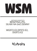Instrukcja napraw silnik Kubota  WG 972 - E 2, DF 972 - E, DG 972 - E 2 PL
