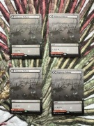 Blightstep Pathway // Seerstep Pathway - karta Magic the Gathering