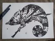 Rysunek: kameleon 1 - cienk - blok t. A3 250 g/m2