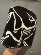 Czapka arcteryx unisex